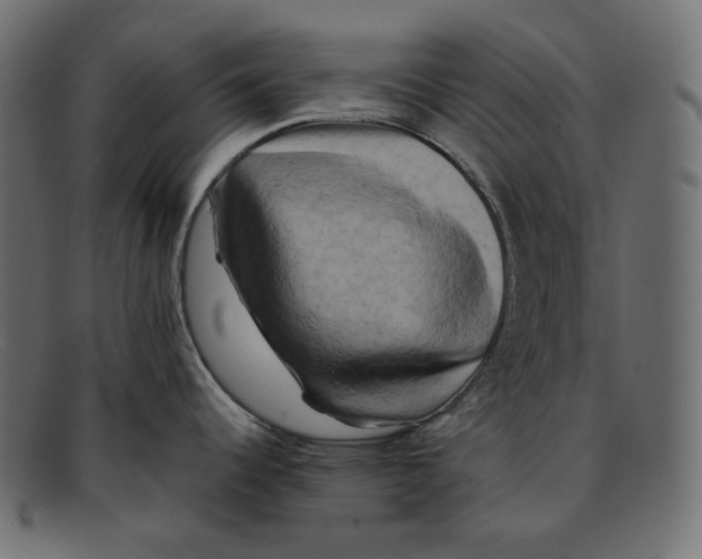 X0000092061344200710101027