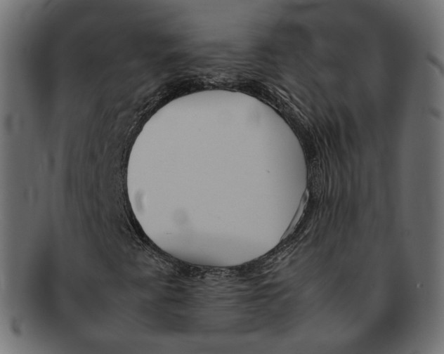 X0000092061345200710101026