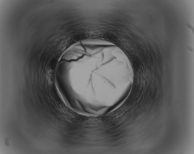 X0000092061346200710101026