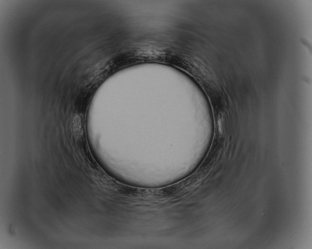 X0000092061347200710101026