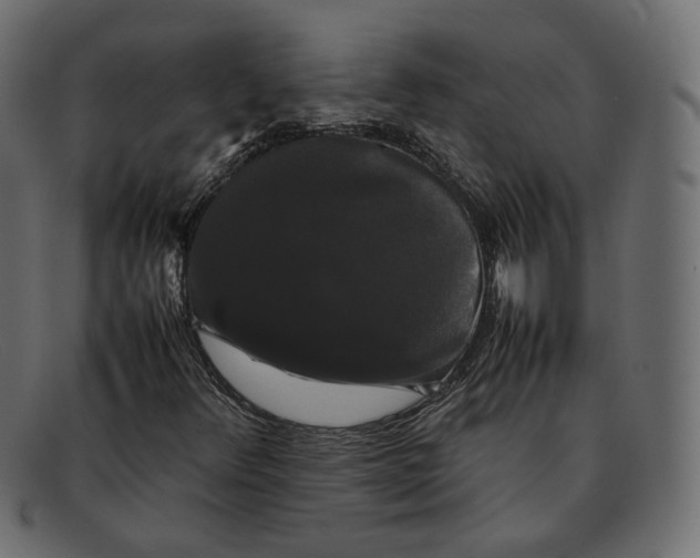 X0000092061348200710101026