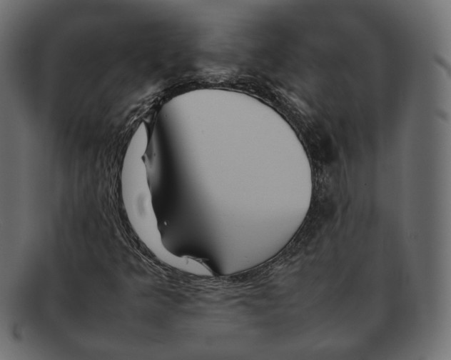 X0000092061349200710101026