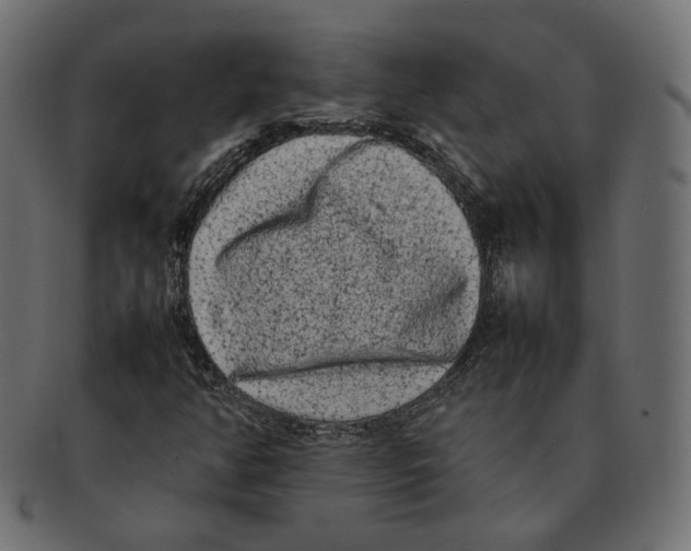 X0000092061350200710101026