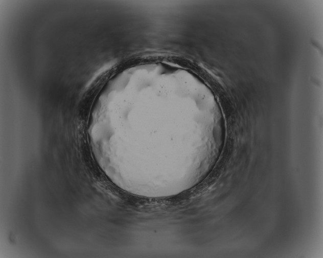 X0000092061351200710101026