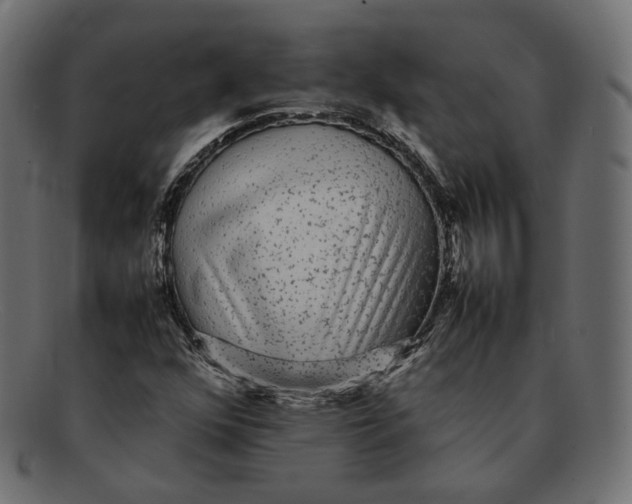 X0000092061352200710101026