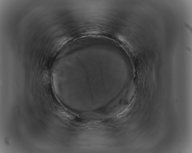 X0000092061353200710101026