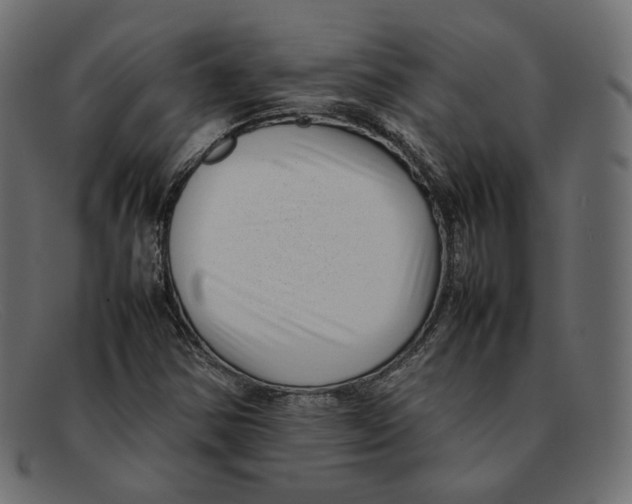 X0000092061354200710101026