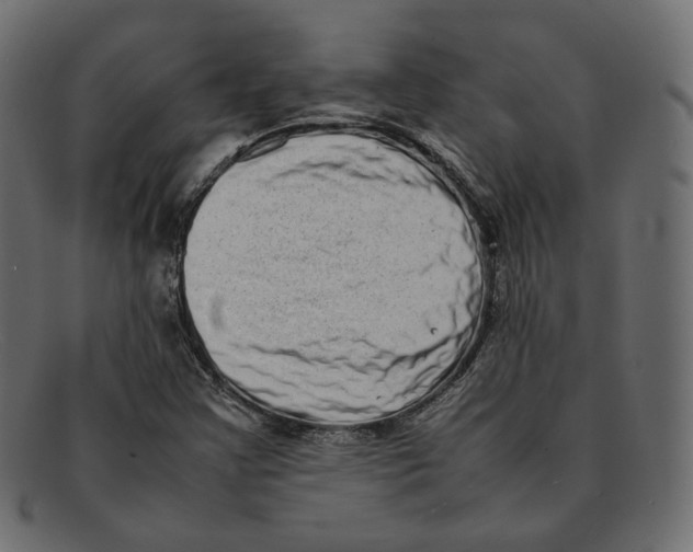 X0000092061355200710101026