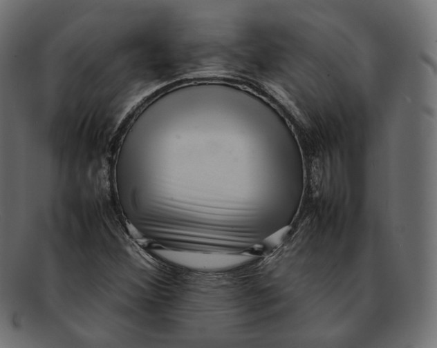 X0000092061356200710101026