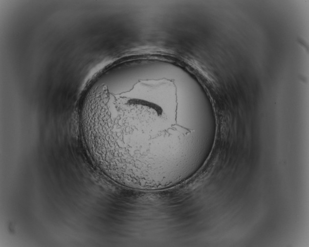 X0000092061358200710101026