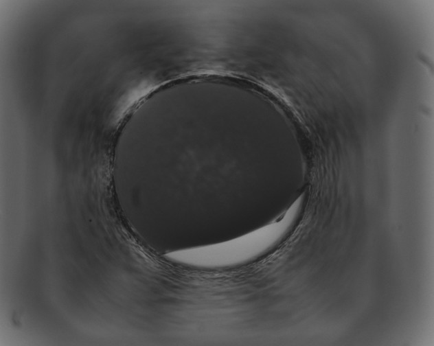 X0000092061359200710101026