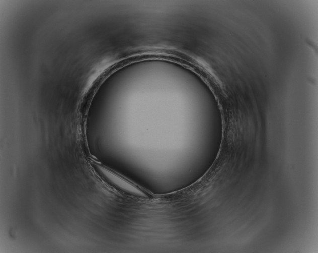 X0000092061360200710101026