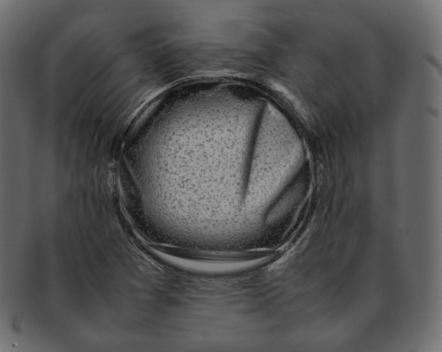 X0000092061361200710101026