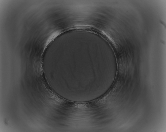 X0000092061362200710101026