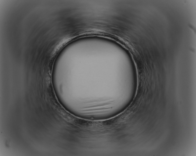 X0000092061363200710101026