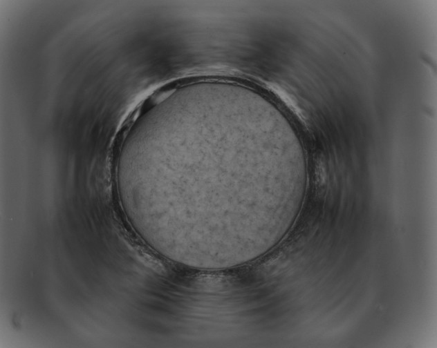 X0000092061364200710101026