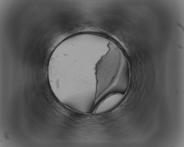 X0000092061367200710101026