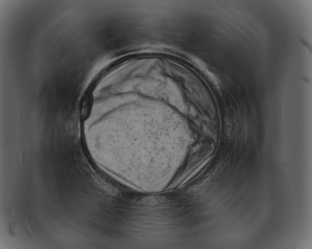 X0000092061368200710101026