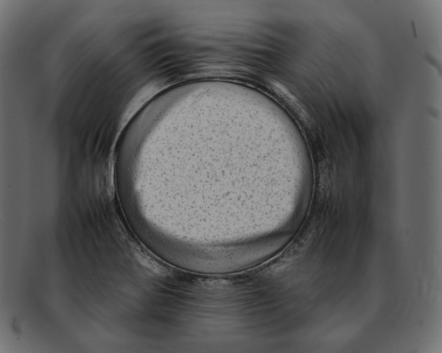 X0000092061370200710101026