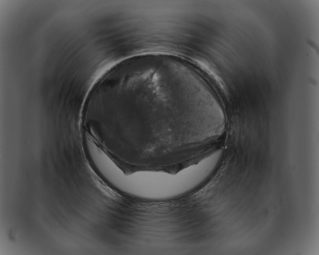 X0000092061372200710101026