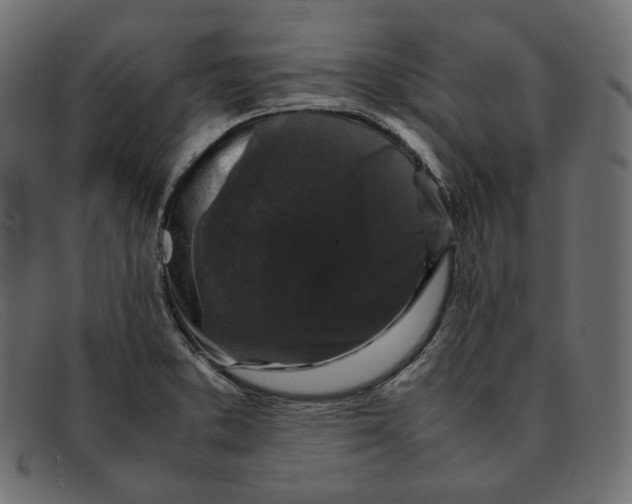 X0000092061373200710101026