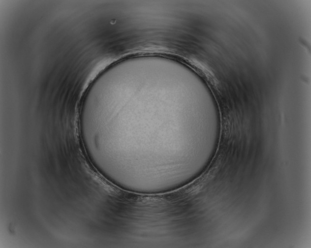 X0000092061374200710101026