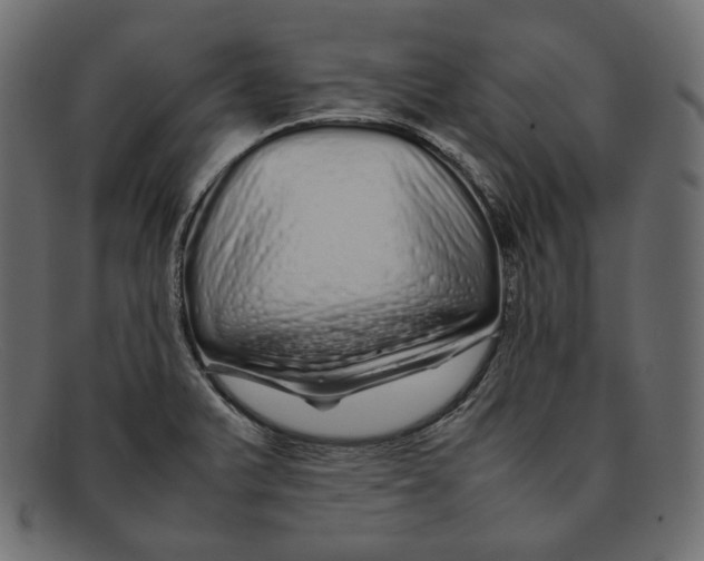 X0000092061375200710101026