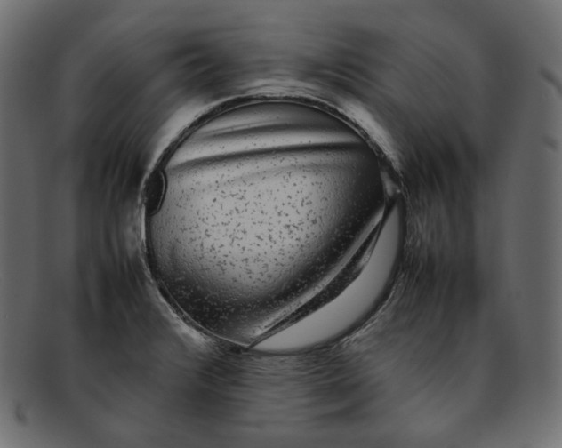 X0000092061376200710101026