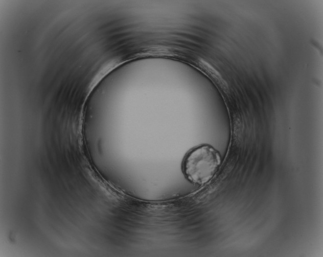 X0000092061378200710101026