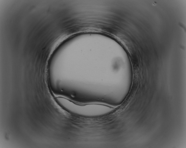 X0000092061379200710101026