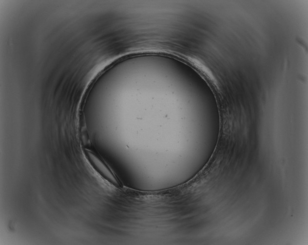 X0000092061380200710101026