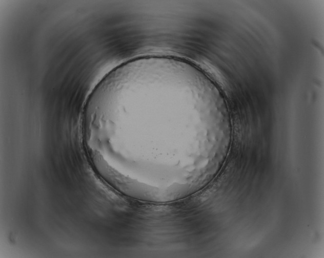 X0000092061382200710101026