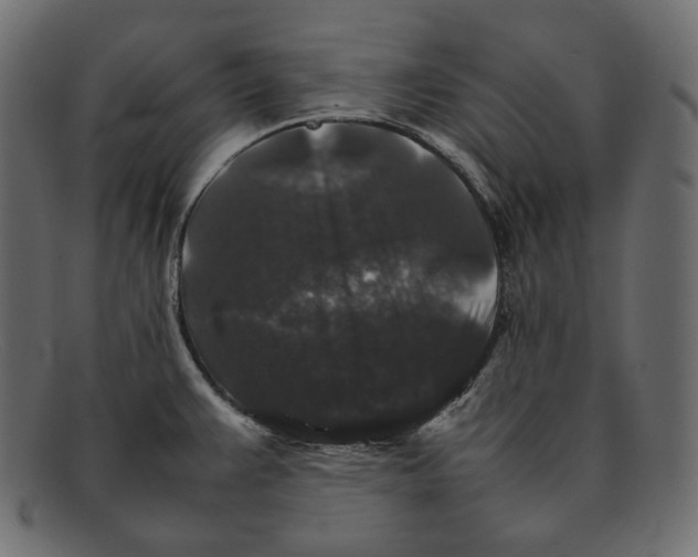 X0000092061383200710101026