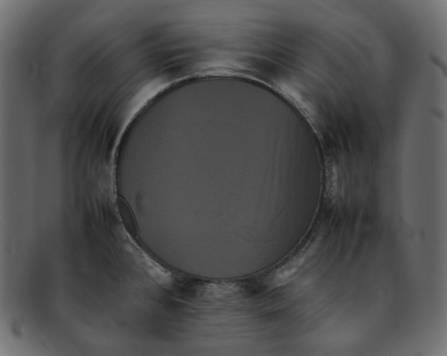 X0000092061384200710101026