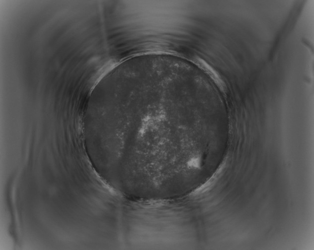 X0000092061385200710101026