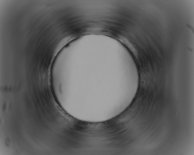 X0000092061386200710101026