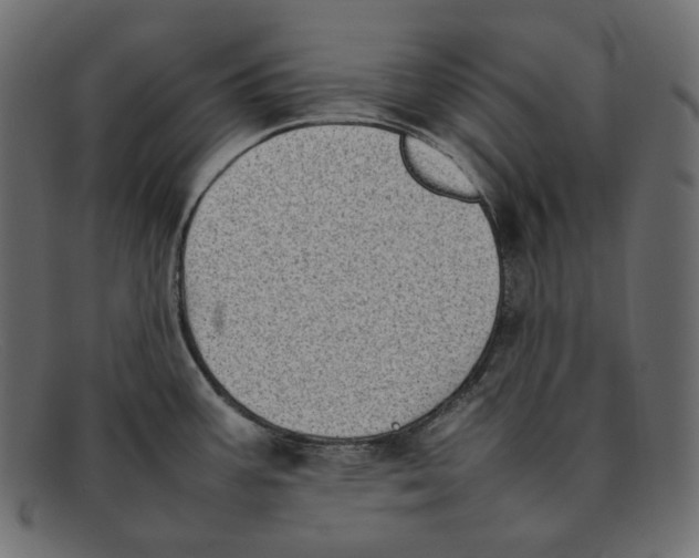 X0000092061387200710101026