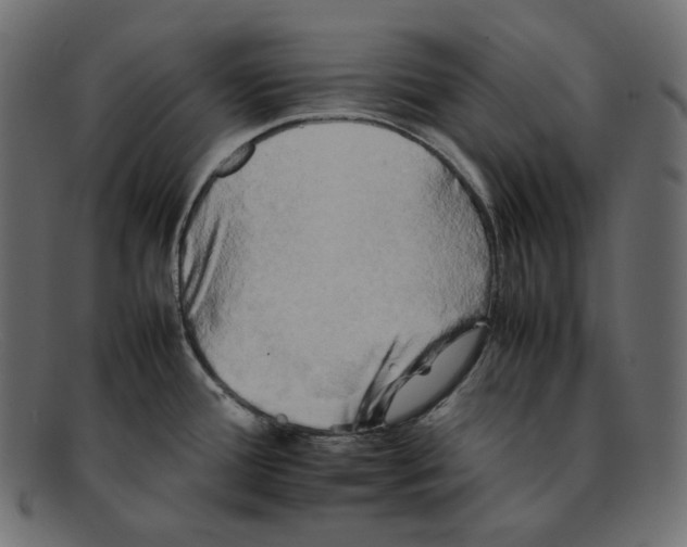 X0000092061388200710101026