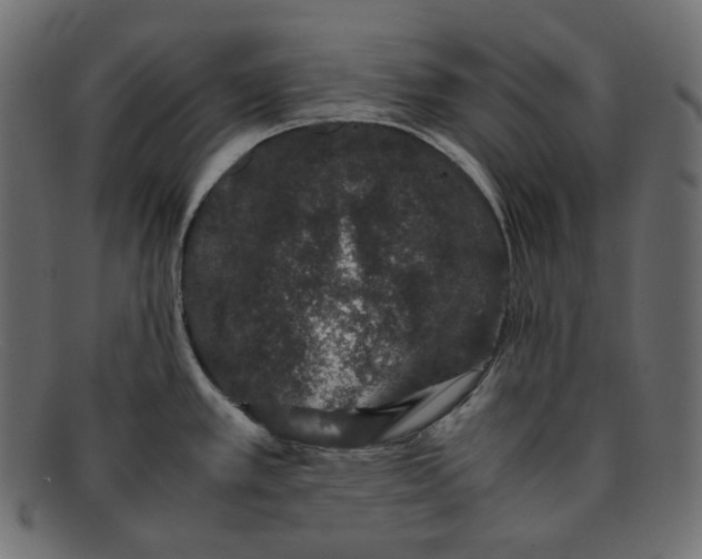 X0000092061389200710101026