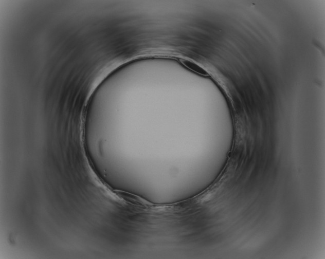 X0000092061390200710101026