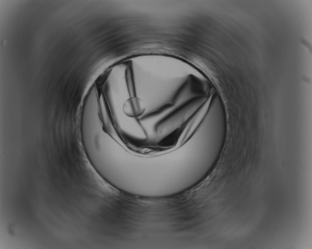 X0000092061392200710101026