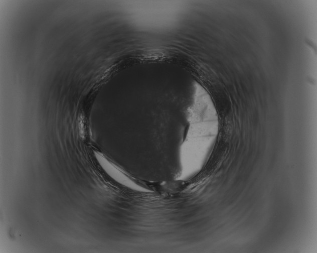 X0000092061394200710101025