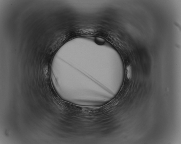 X0000092061395200710101025