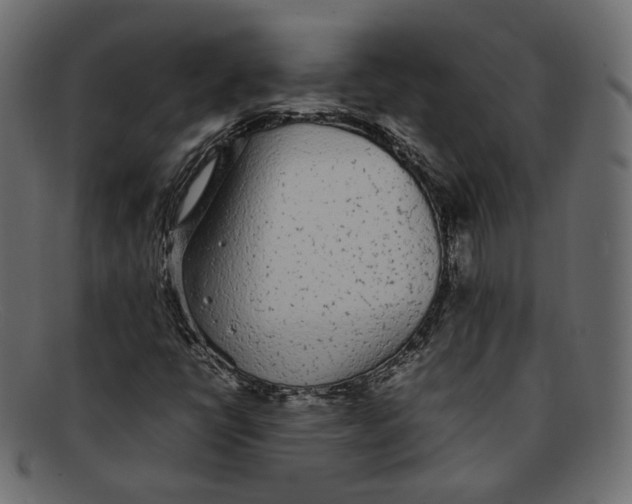 X0000092061398200710101025