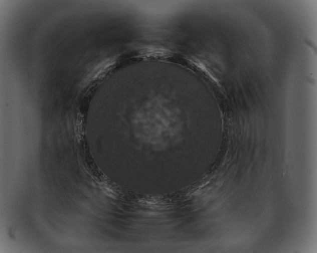 X0000092061399200710101025