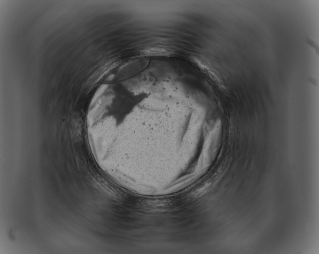 X0000092061401200710101025