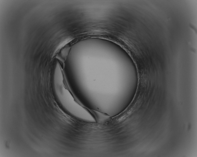 X0000092061402200710101025