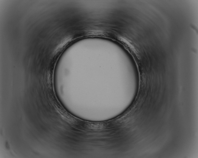 X0000092061403200710101025