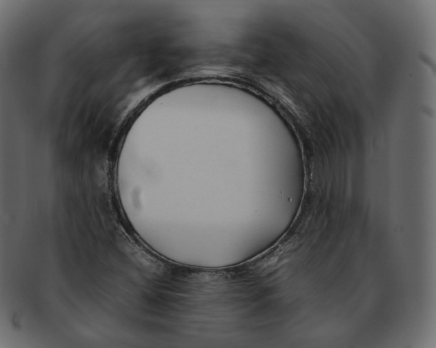 X0000092061404200710101025