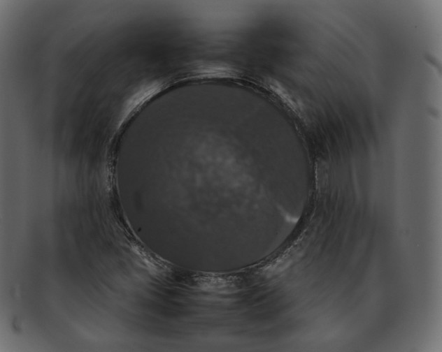 X0000092061405200710101025